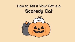 Pusheen: How To Tell If Your Cat is a Scaredy Cat